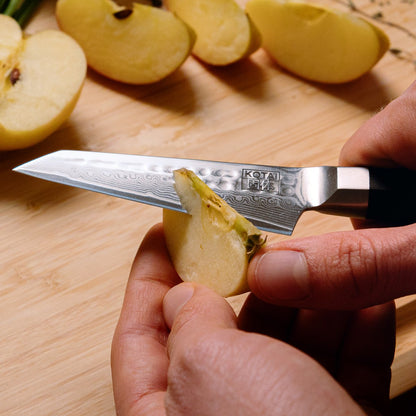 Bunka Damascus starter set, 2 knives - paring and santoku