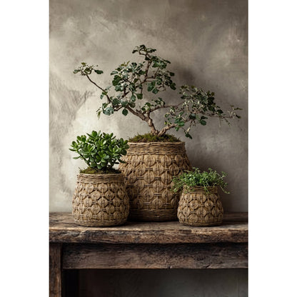 Concrete knot planter M - 18 × 18 × 15.5 cm