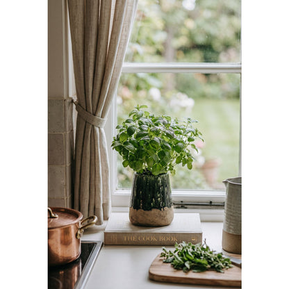 Moss Conical krukke - Concrete Green - M