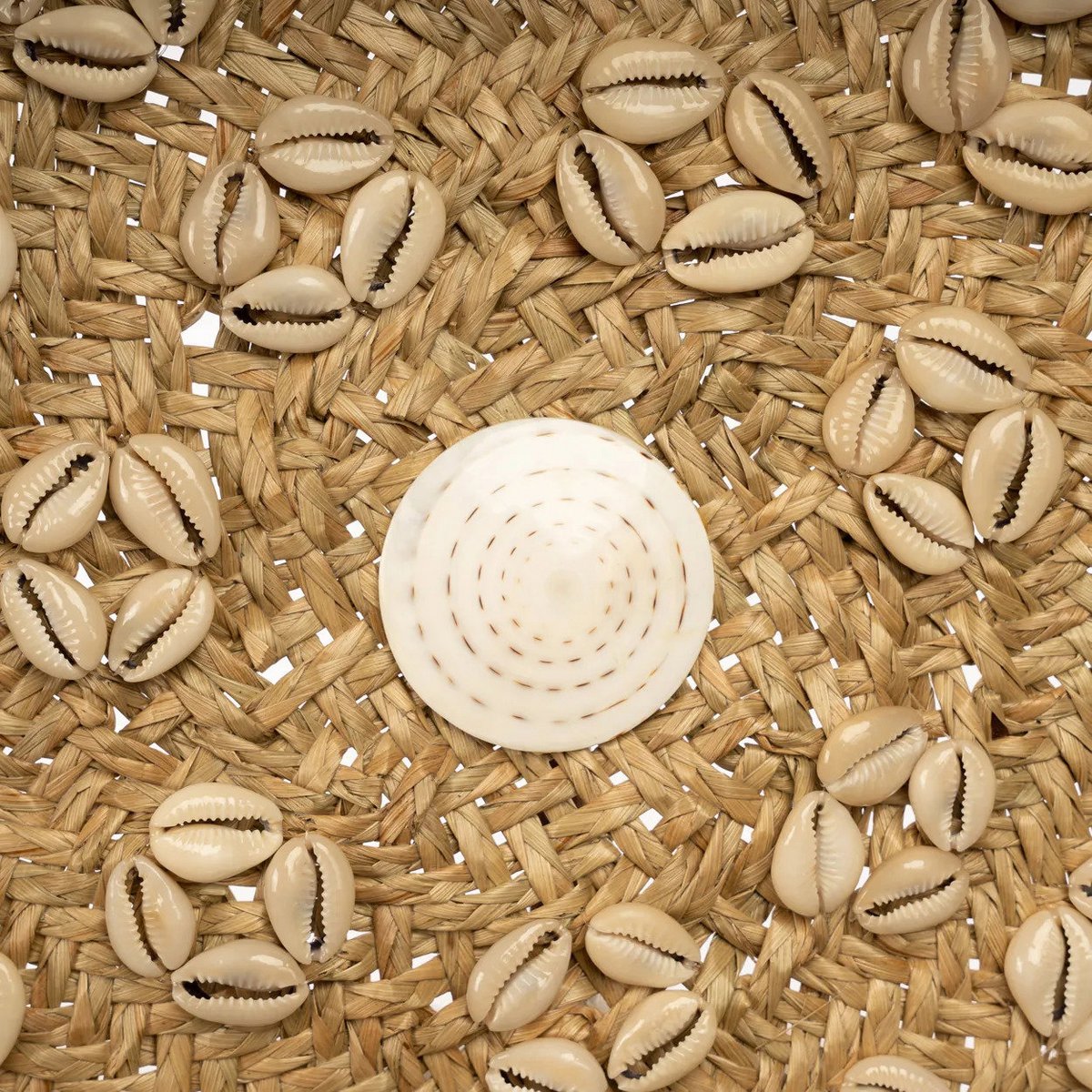 Grass wall circle with cowrie shells, round, 42 cm - Caribe