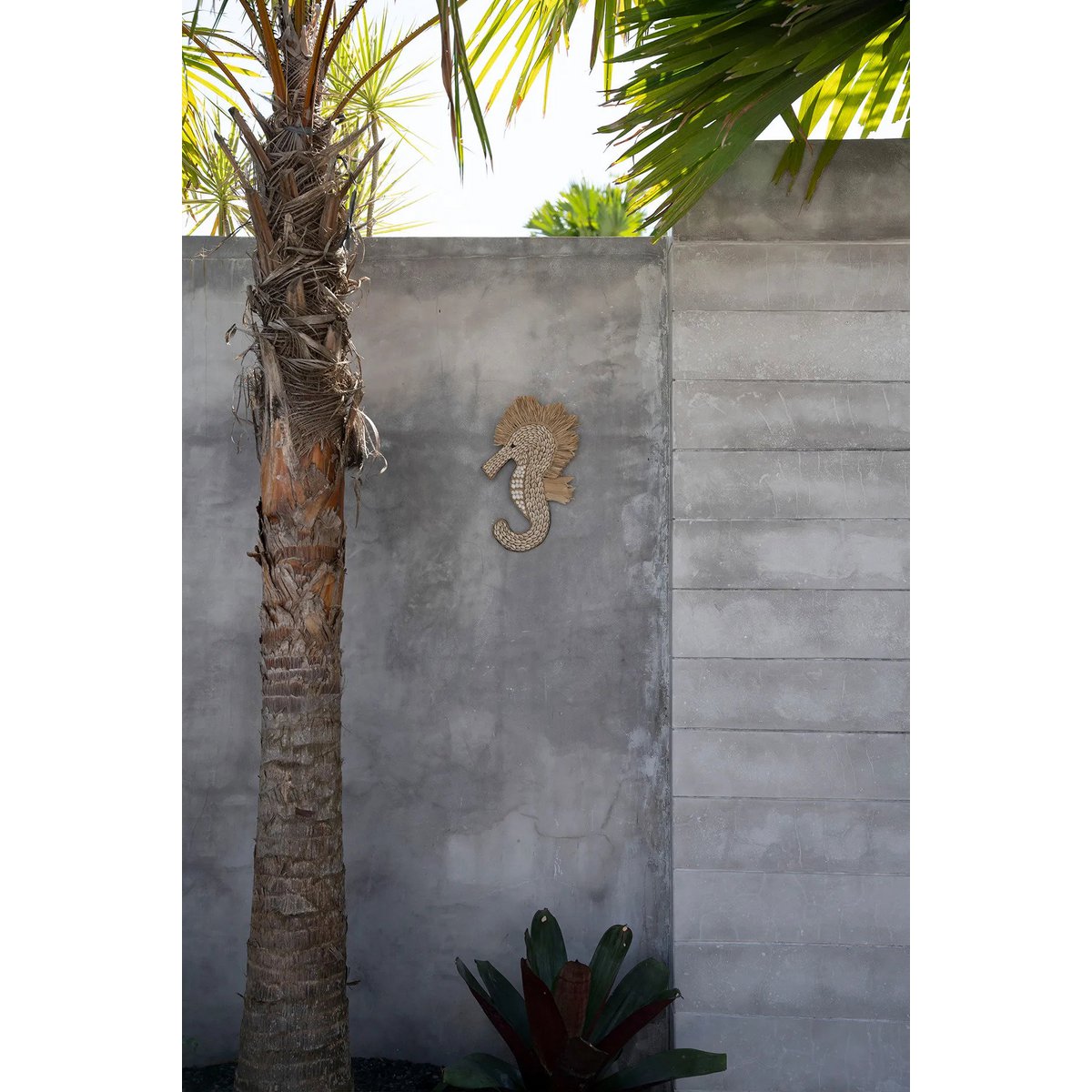 Shell sea horse wall hanging - White
