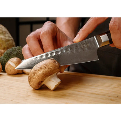 Damascus stainless steel petty knife 135 mm - wood handle