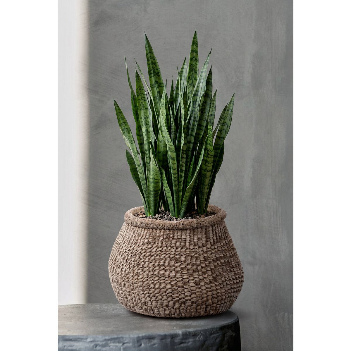 Concrete planter with puff silhouette, 25×23.5×19 cm, brown