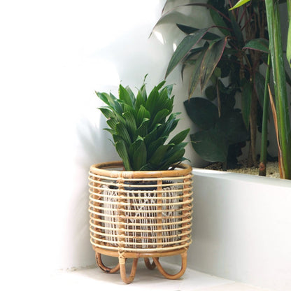Rattan plantestativ MALANG 35 cm – beige flettet holder