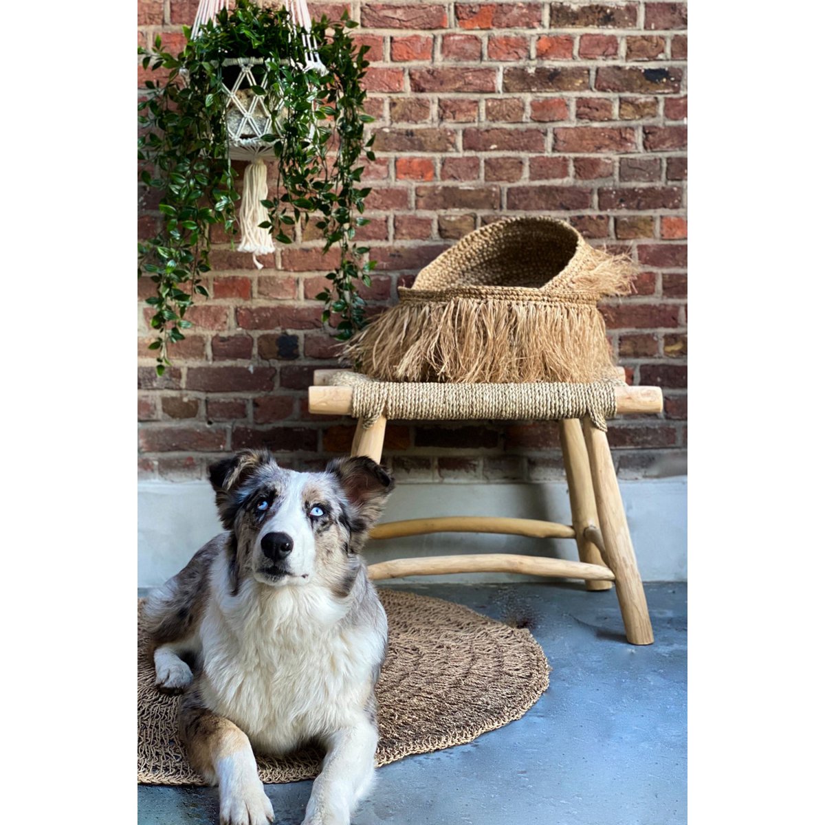 Seagrass and wood stool, 60 cm - handmade