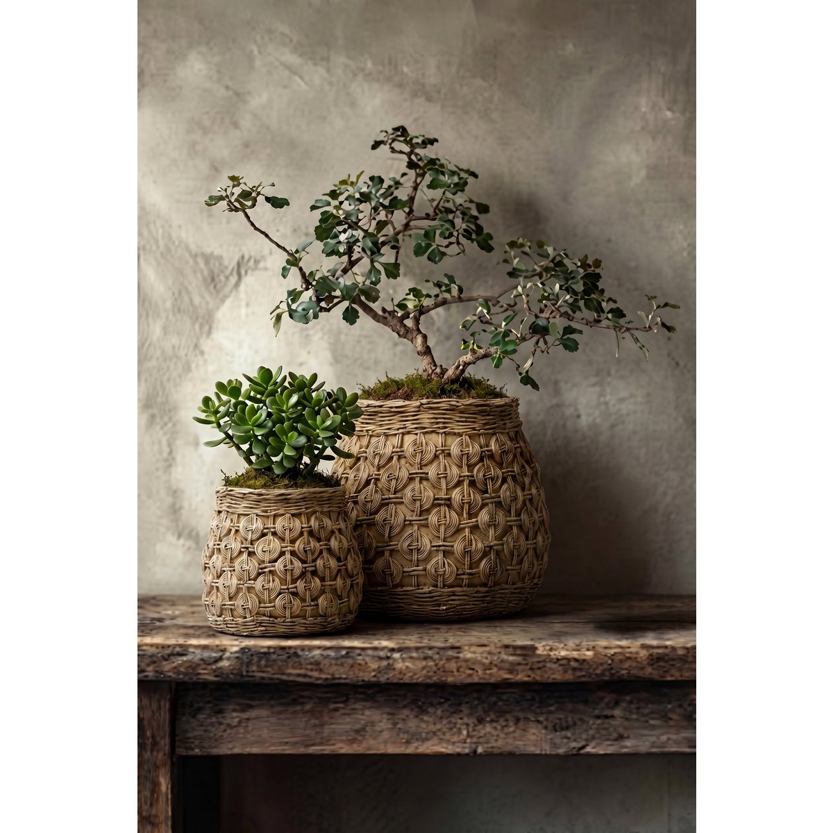 Concrete planter with knot relief, 23×23×20 cm